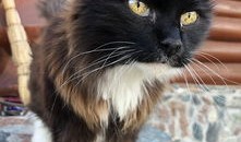 24小时黑客在线QQ接单人才网：随时解决网络安全问题，让安全服务像点外卖一样便捷