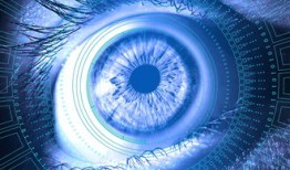 黑客免费接单QQ平台中国黑客网：揭秘真相与安全防范指南