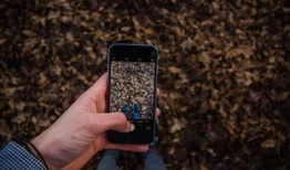 一手接单网app下载安装与使用全攻略：自由职业者轻松接单赚钱的必备神器