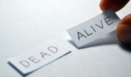 程序员外包平台指南：如何高效选择与使用，轻松解决开发需求