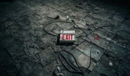 黑项目一天挣2万：揭秘暴利骗局背后的法律风险与真实案例