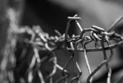 寻人定位宝免费版：实时追踪家人位置，电子围栏守护安全