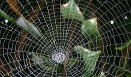 24小时黑客联系方式QQ背后的陷阱：如何安全解决网络问题避免被骗