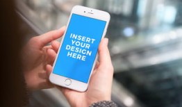 新手学黑客技术教程：从零开始掌握网络安全技能，轻松入门