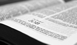 50元黑客在线QQ接单服务揭秘：低价背后的巨大风险与合法替代方案