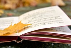 黑客追款大户：资金安全防护与法律风险规避全攻略