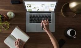 最简单的黑客入门教程：零基础轻松掌握网络安全技能，开启你的白帽黑客之旅