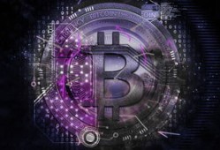 黑客高手接单：合法安全服务指南，快速解决网络安全问题