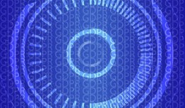 网络技术大神养成指南：从零到精通的快速成长路径