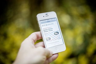 黑客去哪里接单？揭秘暗网、技术论坛、加密通讯三大安全接单渠道与避坑指南