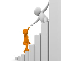 专业黑客24小时雇佣平台：合法雇佣黑客解决网络安全危机的便捷指南