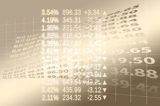0基础学黑客技术：从零入门到实战演练的完整指南，轻松掌握网络安全技能