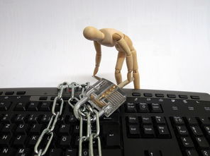 QQ24小时自助下单全网最低价：随时充值、自动发货、省钱又省心