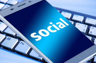 免费追踪对方手机号网页版：快速定位与安全使用全指南