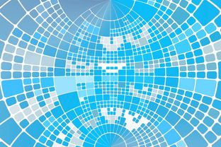 网络技术大神养成指南：从零到精通的快速成长路径