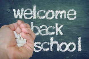 快递录入免费接单平台:省时省力,轻松处理快递订单的终极指南 快递录入免费接单平台:省时省力,轻松处理快递订单的终极指南