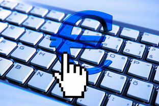 被app软件骗了钱怎么办？立即止损、报警维权、追回损失全攻略