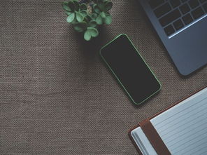 盗号应用免费危害大揭秘：如何识别并防范手机隐私泄露与财产损失