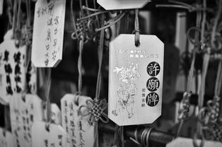 黑客查老公微信聊天记录？别冒险！合法解决婚姻信任危机的安全方法